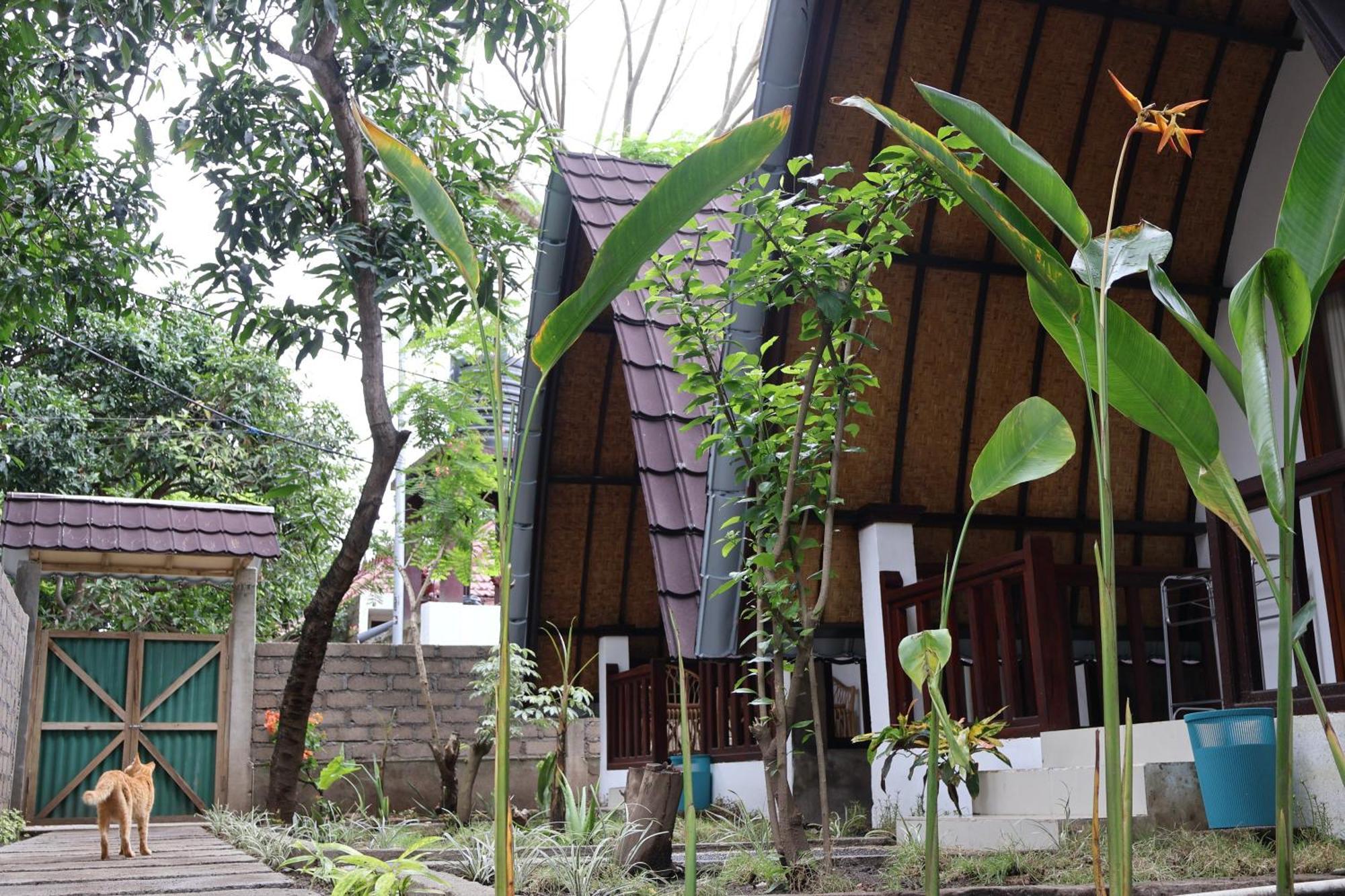 Rumah Gemala גילי אייר מראה חיצוני תמונה